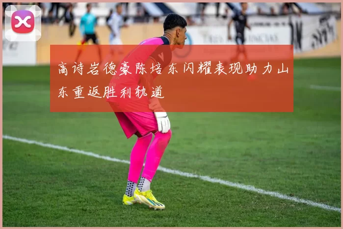 高诗岩德豪陈培东闪耀表现助力山东重返胜利轨道